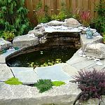 We build ponds and water features too!